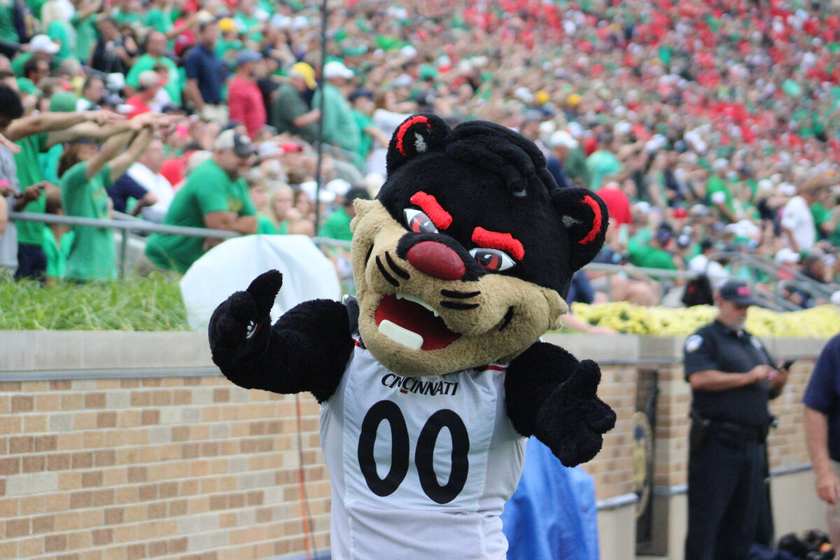 UC football vs. Notre Dame bearcat